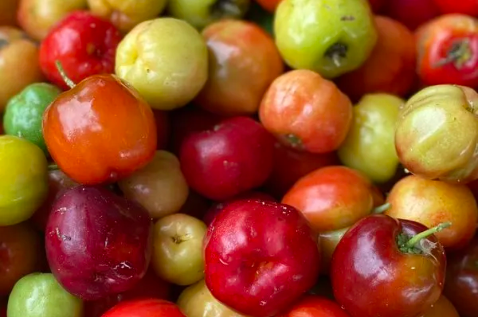 Acerola Cherries: The Superfruit That Has 30x More Vitamin C Than Oranges